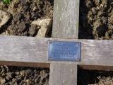 image of grave number 795923